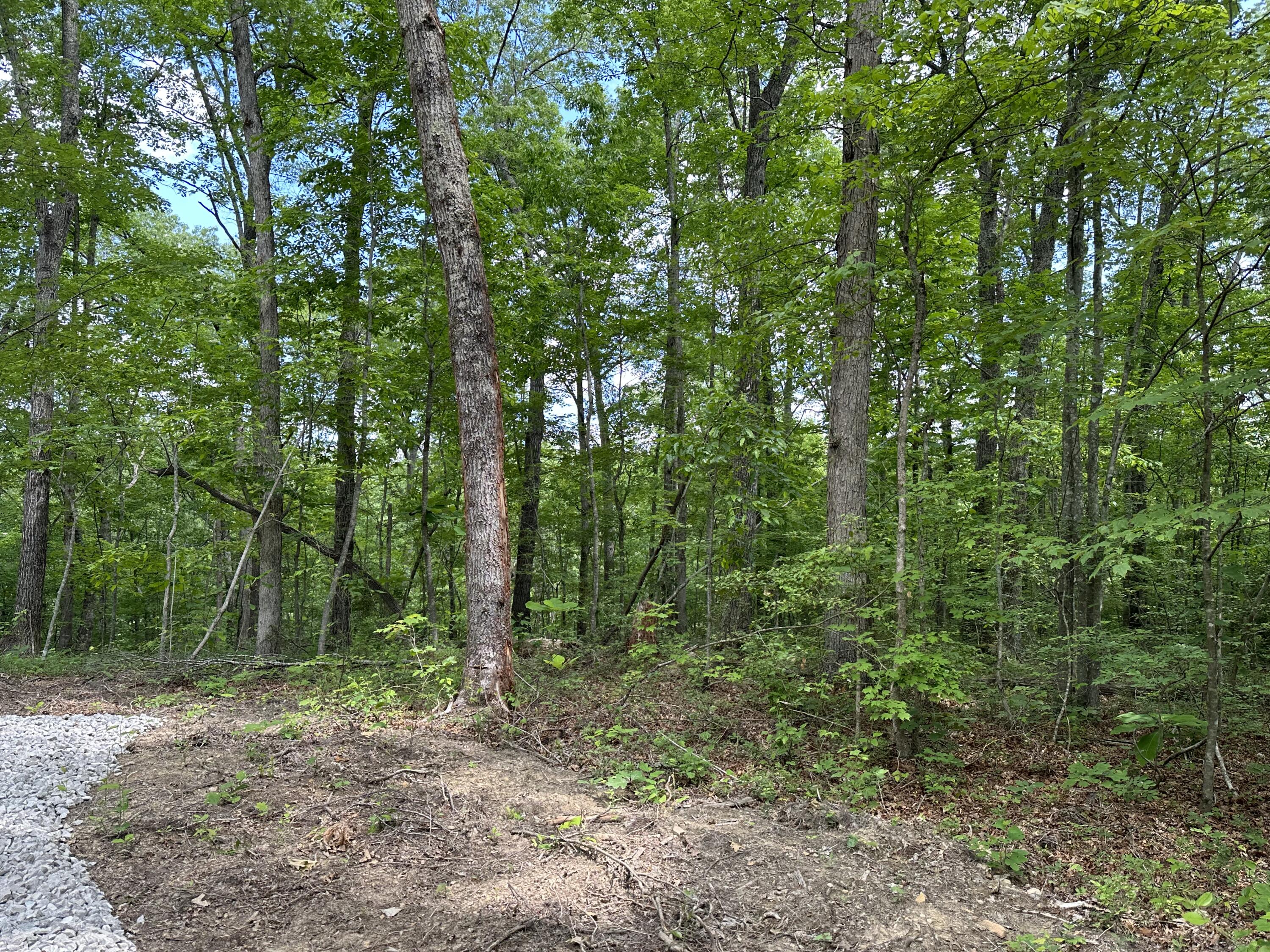 10 Bozeman Road Corbin, KY 40701 - Photo 17 of 30 IMG_6244