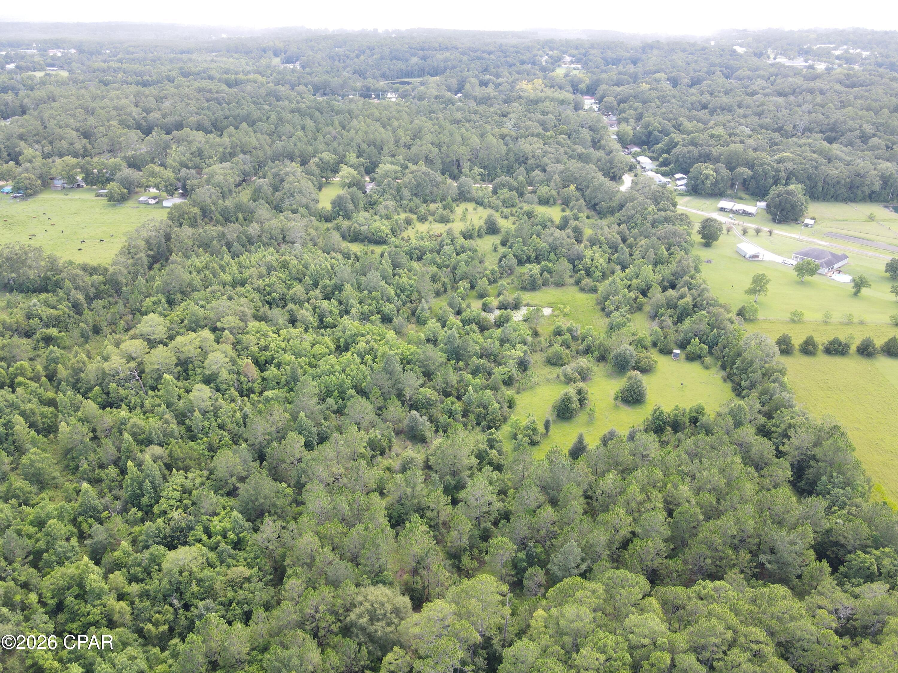 0 South Chance Road Bonifay, FL 32425 - Photo 17 of 23 Gallery Image 17