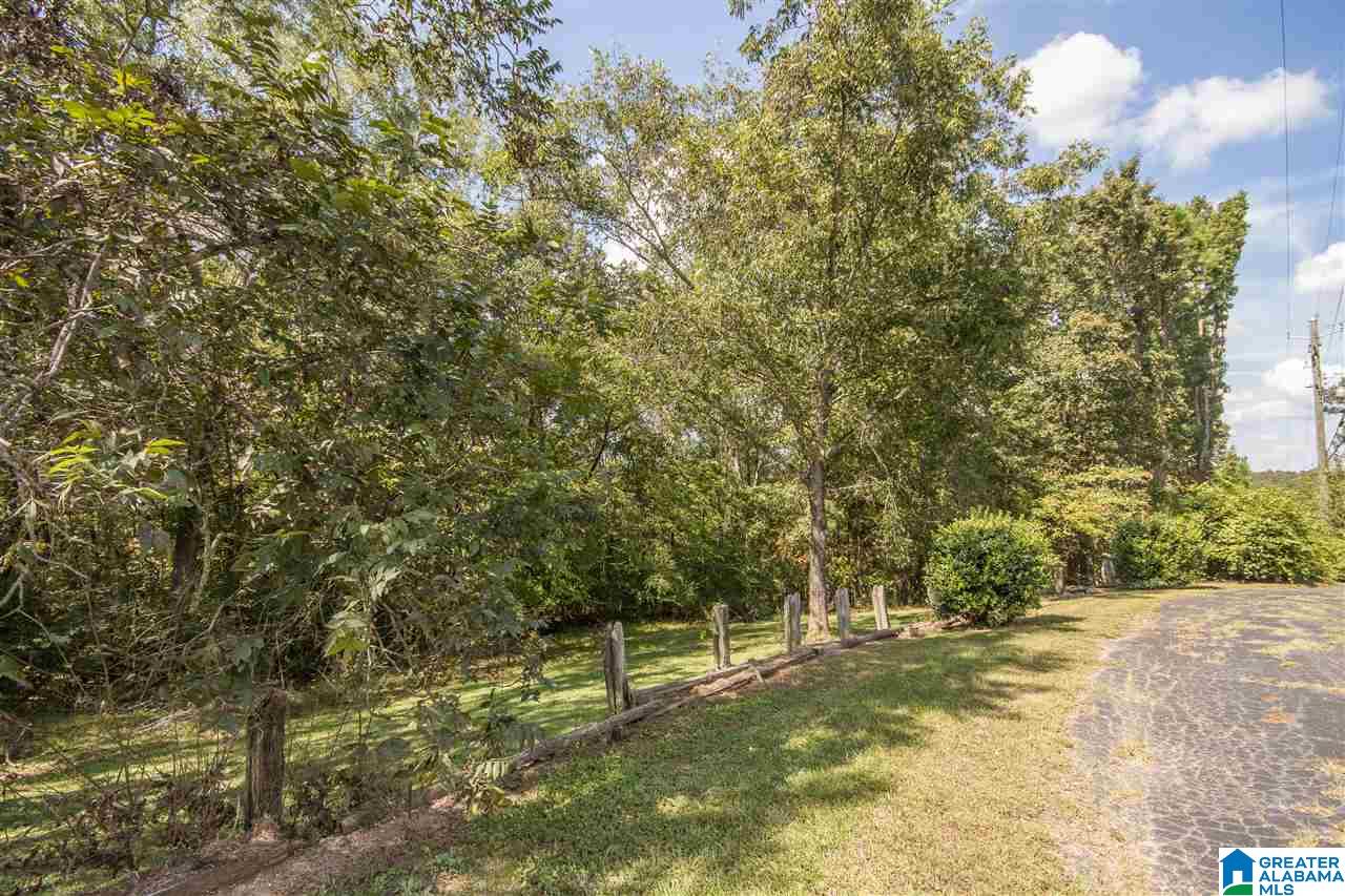 11615 County Road 73 Montevallo, AL 35115 - Photo 43 of 47
