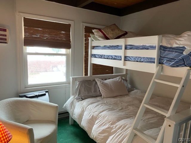 1996 Alpha Circle, Unit 5B Virgil, NY 13045 - Photo 11 of 28 Second bedroom