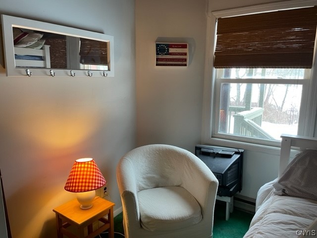 1996 Alpha Circle, Unit 5B Virgil, NY 13045 - Photo 12 of 28 Second Bedroom