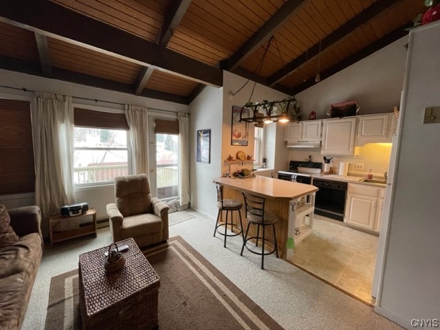 1996 Alpha Circle, Unit 5B Virgil, NY 13045 - Photo 16 of 28