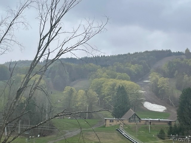 1996 Alpha Circle, Unit 5B Virgil, NY 13045 - Photo 2 of 28 Springtime view