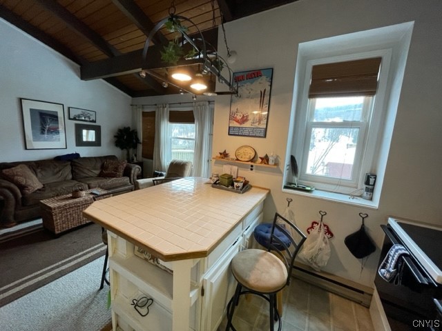 1996 Alpha Circle, Unit 5B Virgil, NY 13045 - Photo 21 of 28