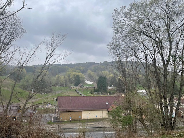 1996 Alpha Circle, Unit 5B Virgil, NY 13045 - Photo 3 of 28 Slopes in the springtime.