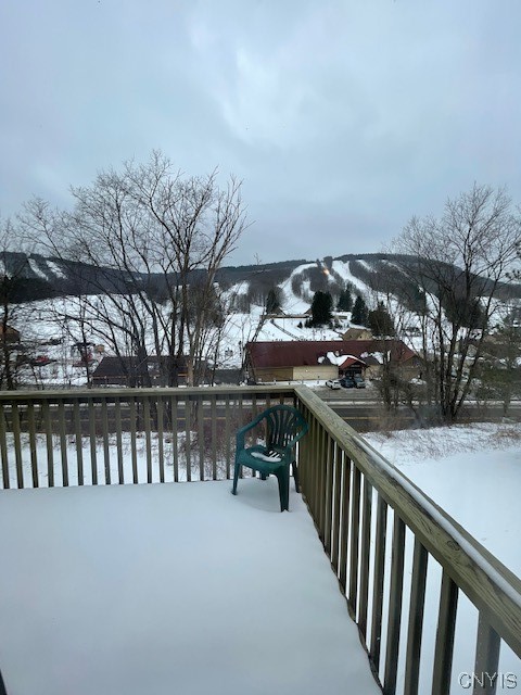 1996 Alpha Circle, Unit 5B Virgil, NY 13045 - Photo 4 of 28 Upper Deck
