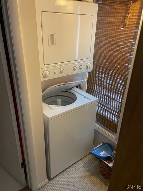 1996 Alpha Circle, Unit 5B Virgil, NY 13045 - Photo 9 of 28 Laundry at the lower level outside bedrooms