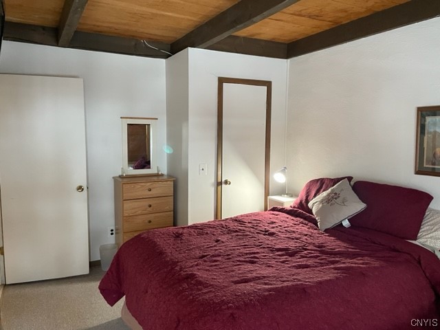 1996 Alpha Circle, Unit 5B Virgil, NY 13045 - Photo 10 of 28 Main bedroom.