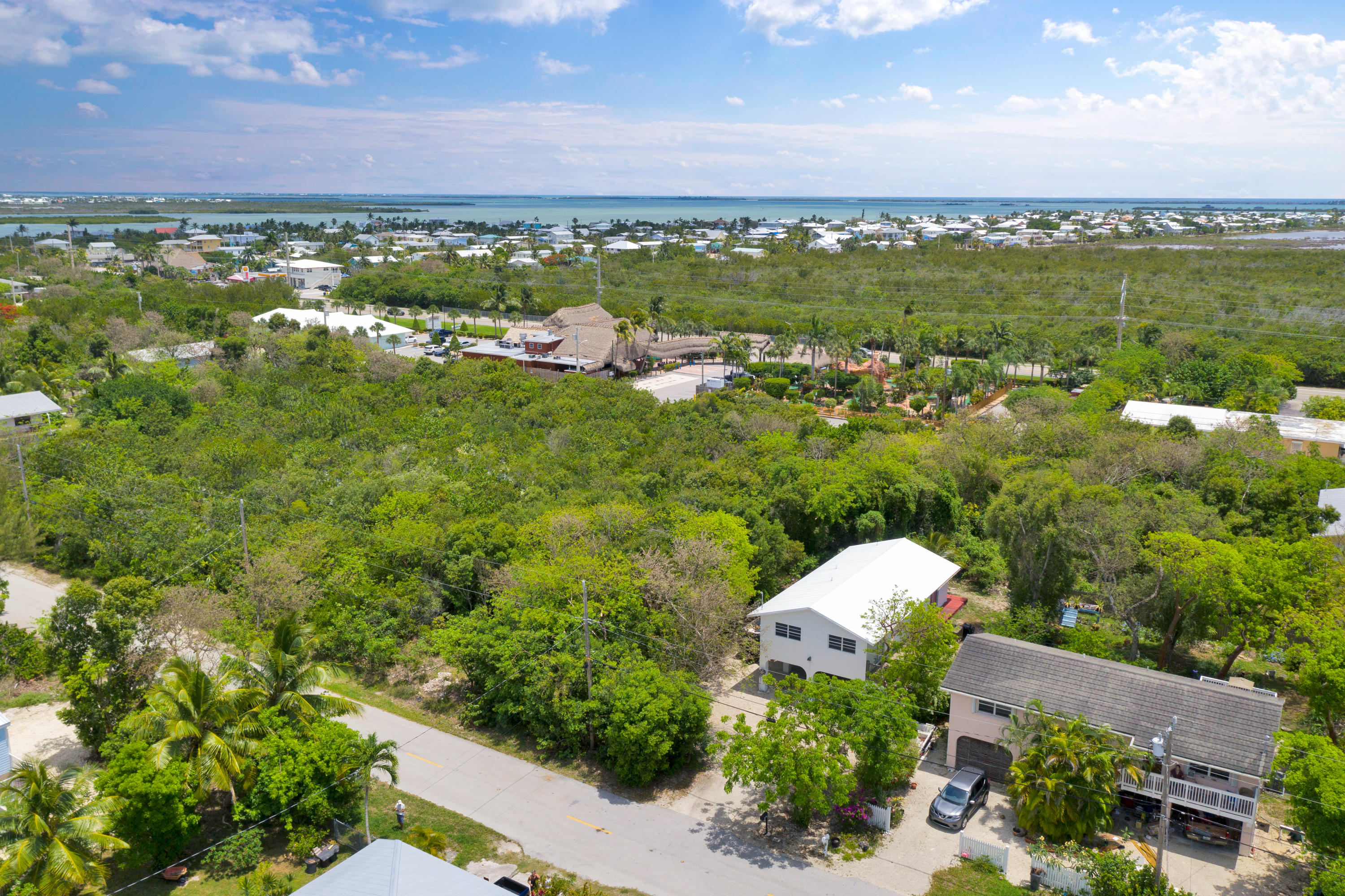 27058 Angelfish Road Summerland Key, FL 33042 - Photo 34 of 38 Aerial front 1