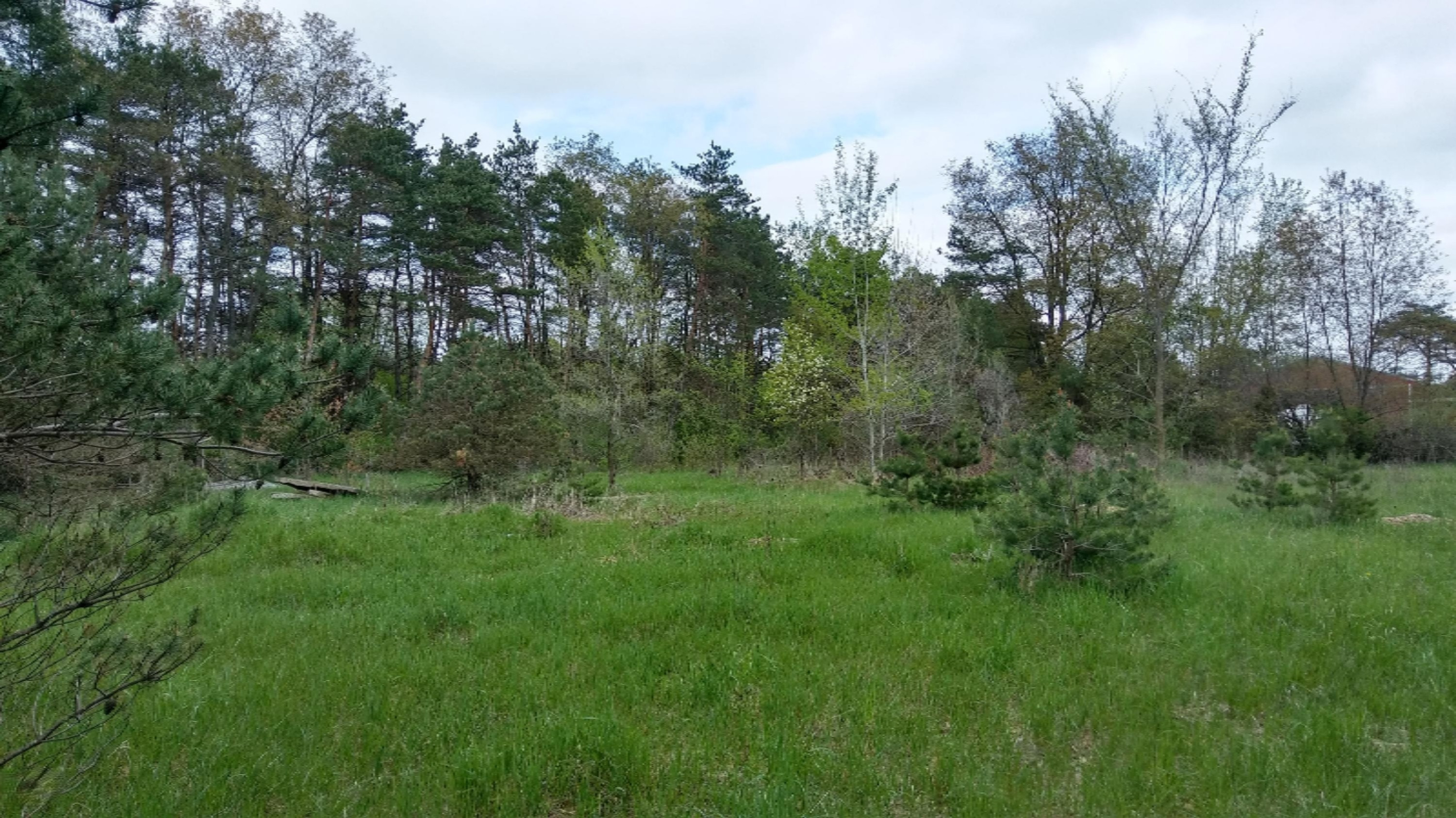 Fish Road Belding, MI 48809 - Photo 5 of 5 New Fish Rd. 2
