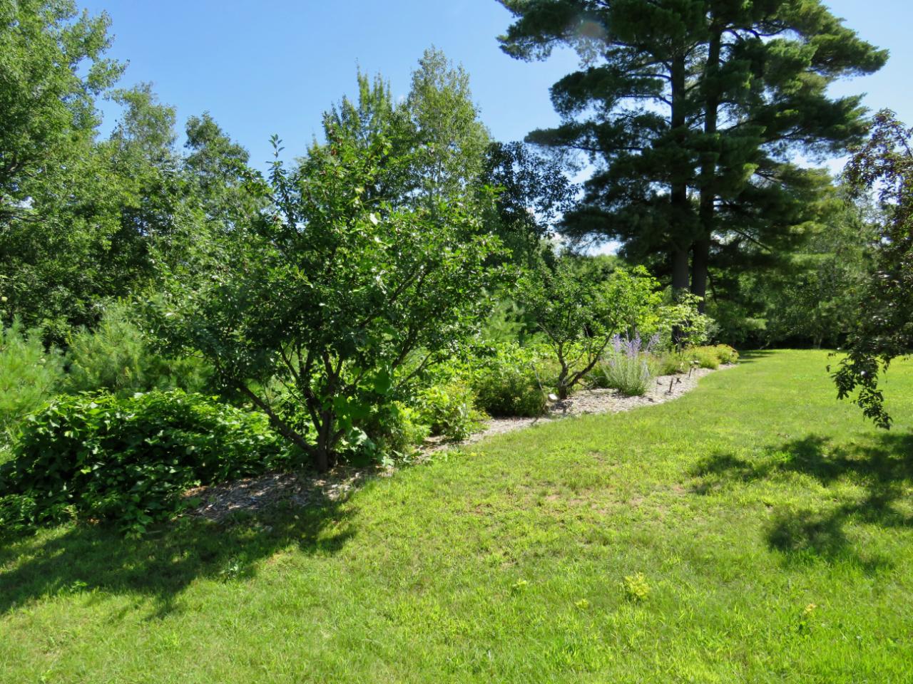 7920 Trout Creek Road Harshaw, WI 54529 - Photo 11 of 71 Gallery Image 11