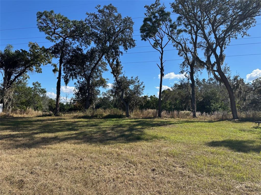 6848 Copperfield Drive New Port Richey, FL 34655 - Photo 17 of 20 a view of a field with trees around