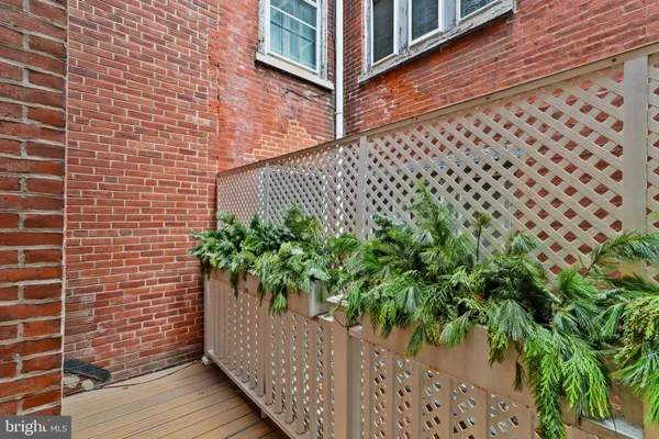 a potted plant on a brick wall