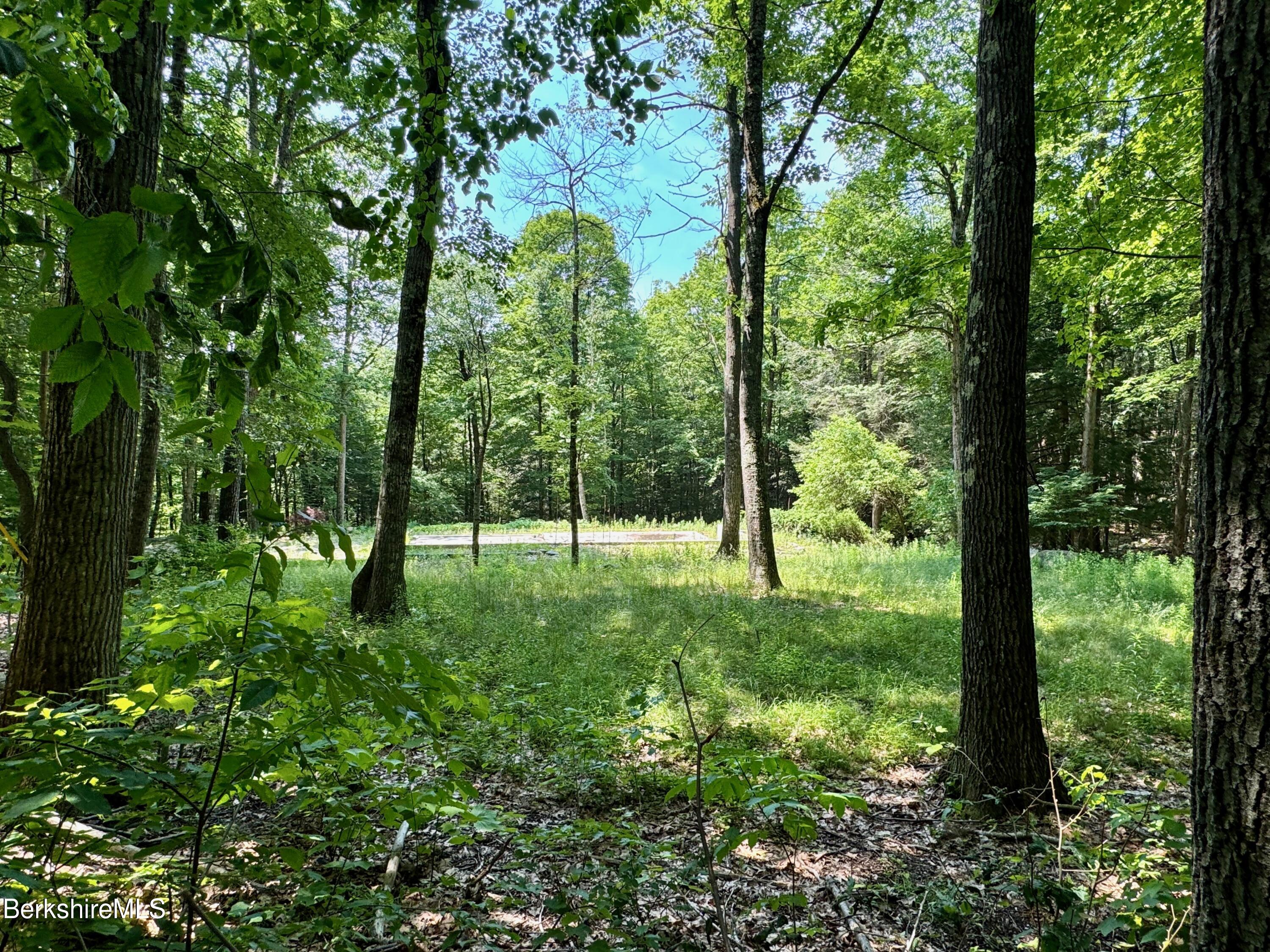 Partially cleared parcel