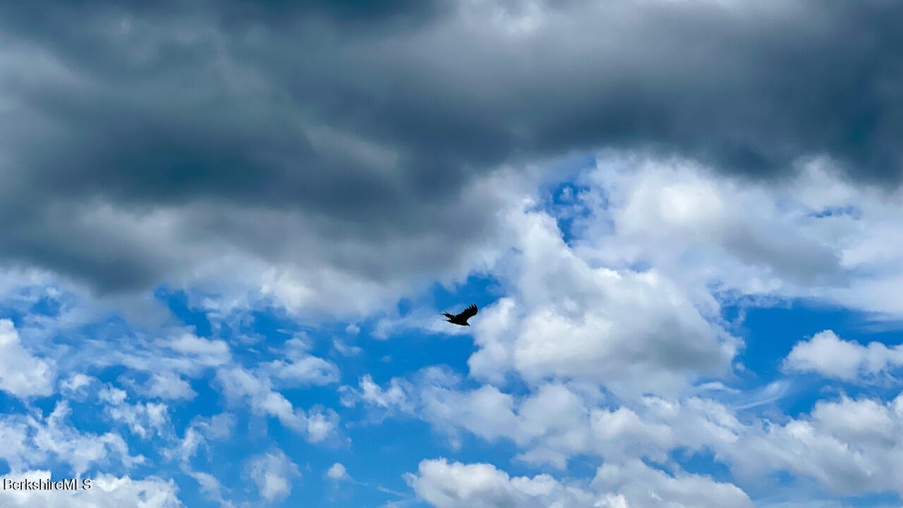 562 Norton Road Otis, MA 01253 - Photo 12 of 14 Summit of Old Blady