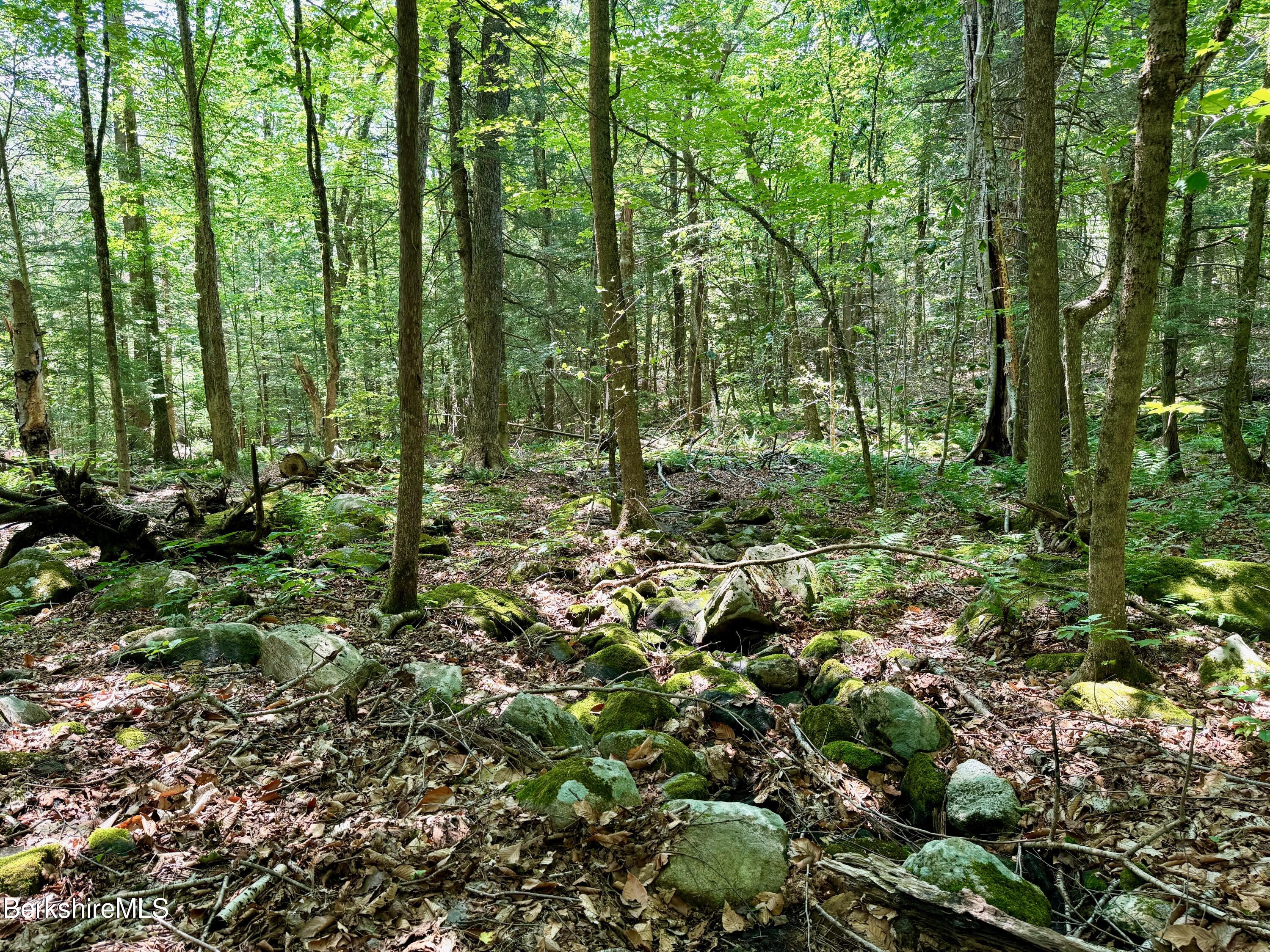 562 Norton Road Otis, MA 01253 - Photo 13 of 14 Stone walls on parcel