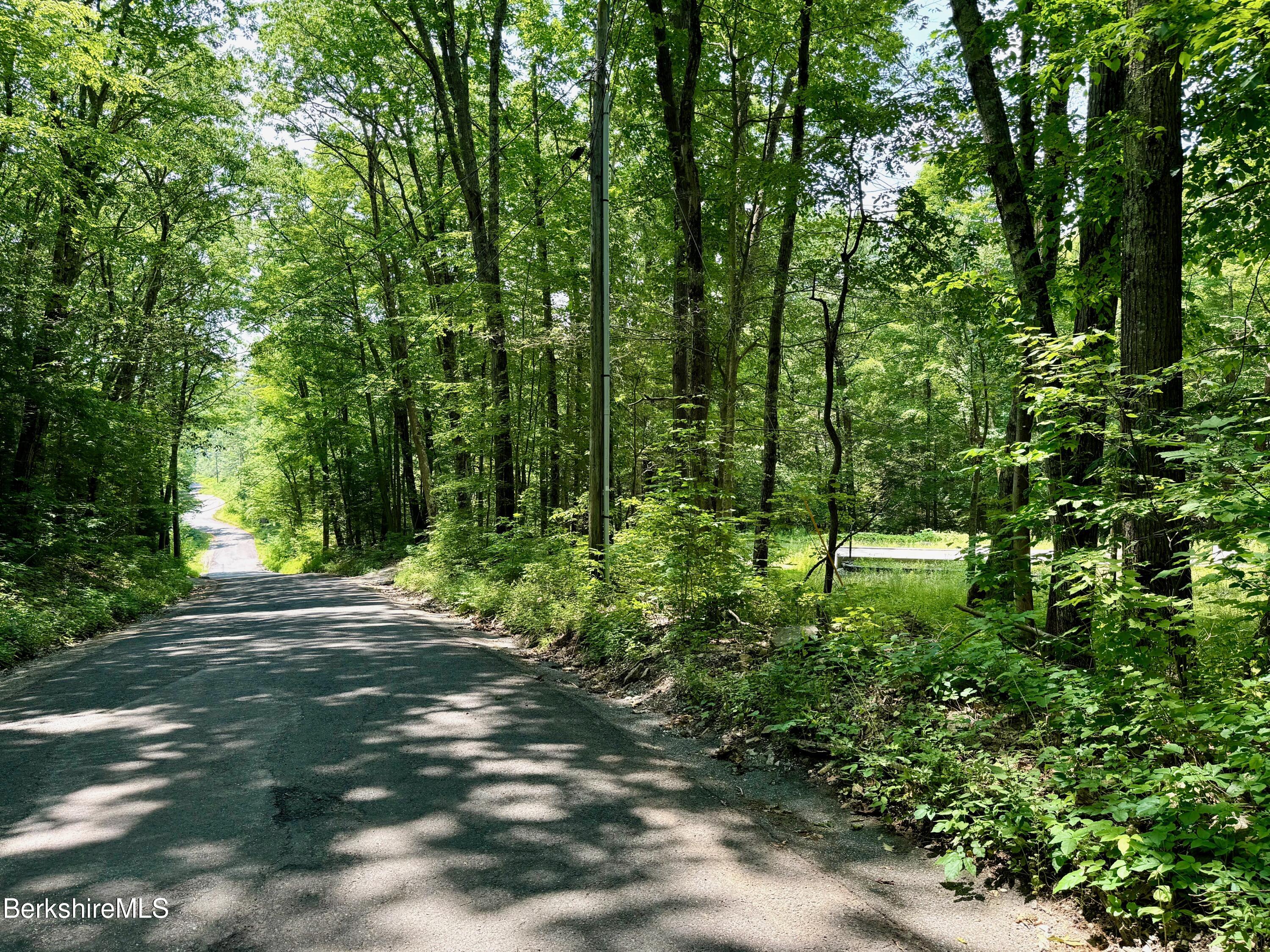 562 Norton Road Otis, MA 01253 - Photo 14 of 14 Norton Rd, looking downhill, south