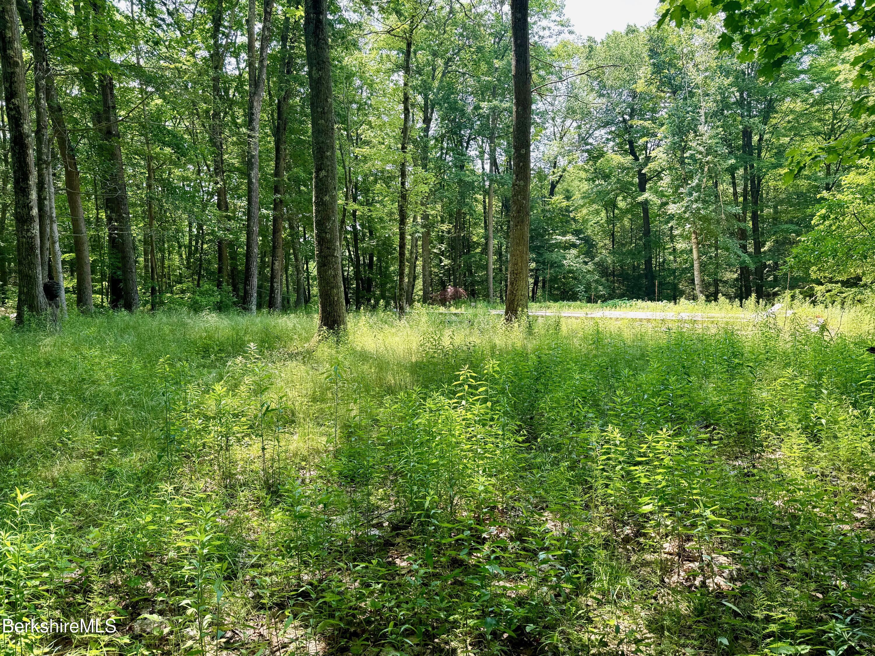 562 Norton Road Otis, MA 01253 - Photo 2 of 14 Partially cleared parcel