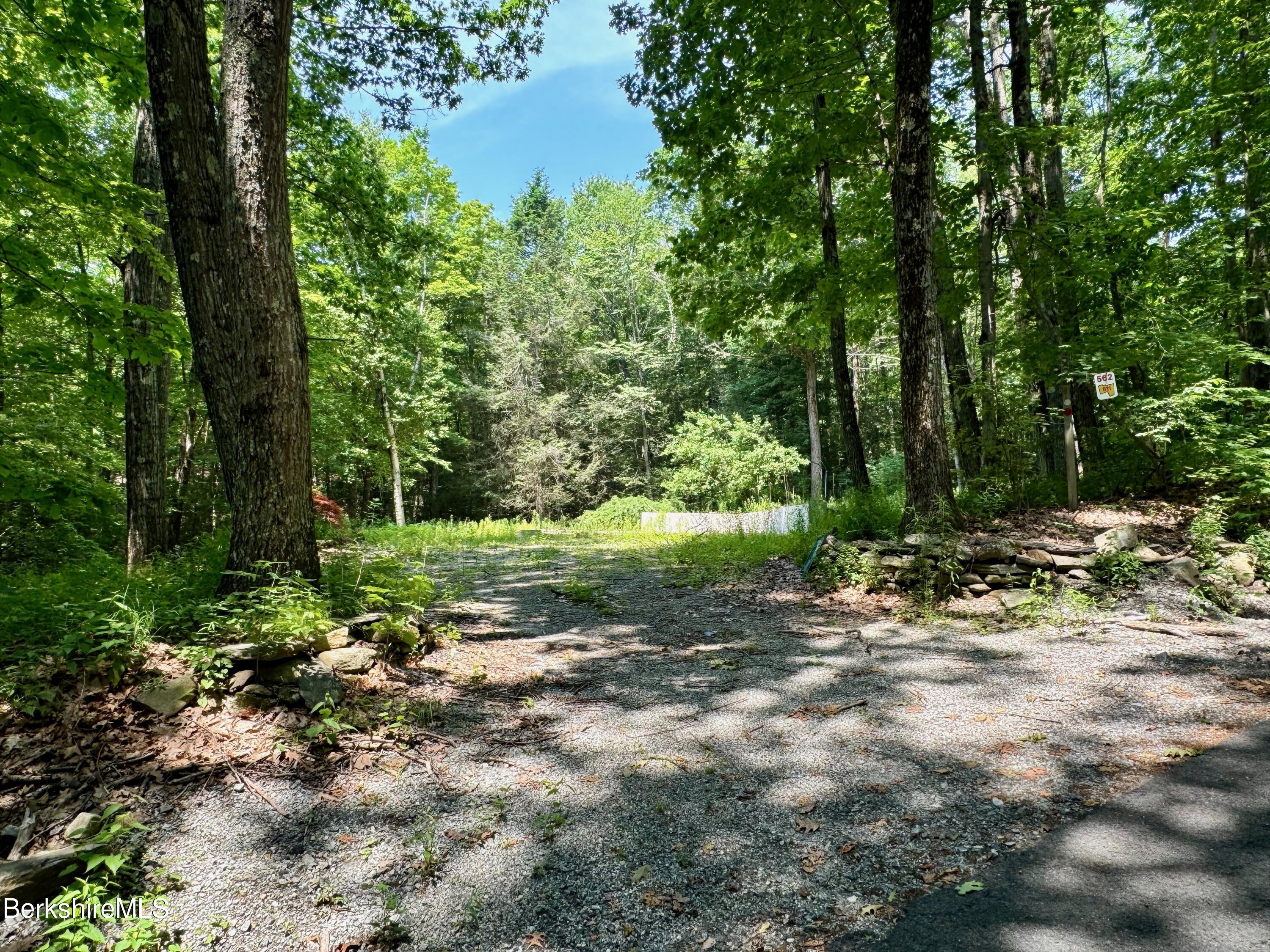 562 Norton Road Otis, MA 01253 - Photo 4 of 14 Driveway to parcel
