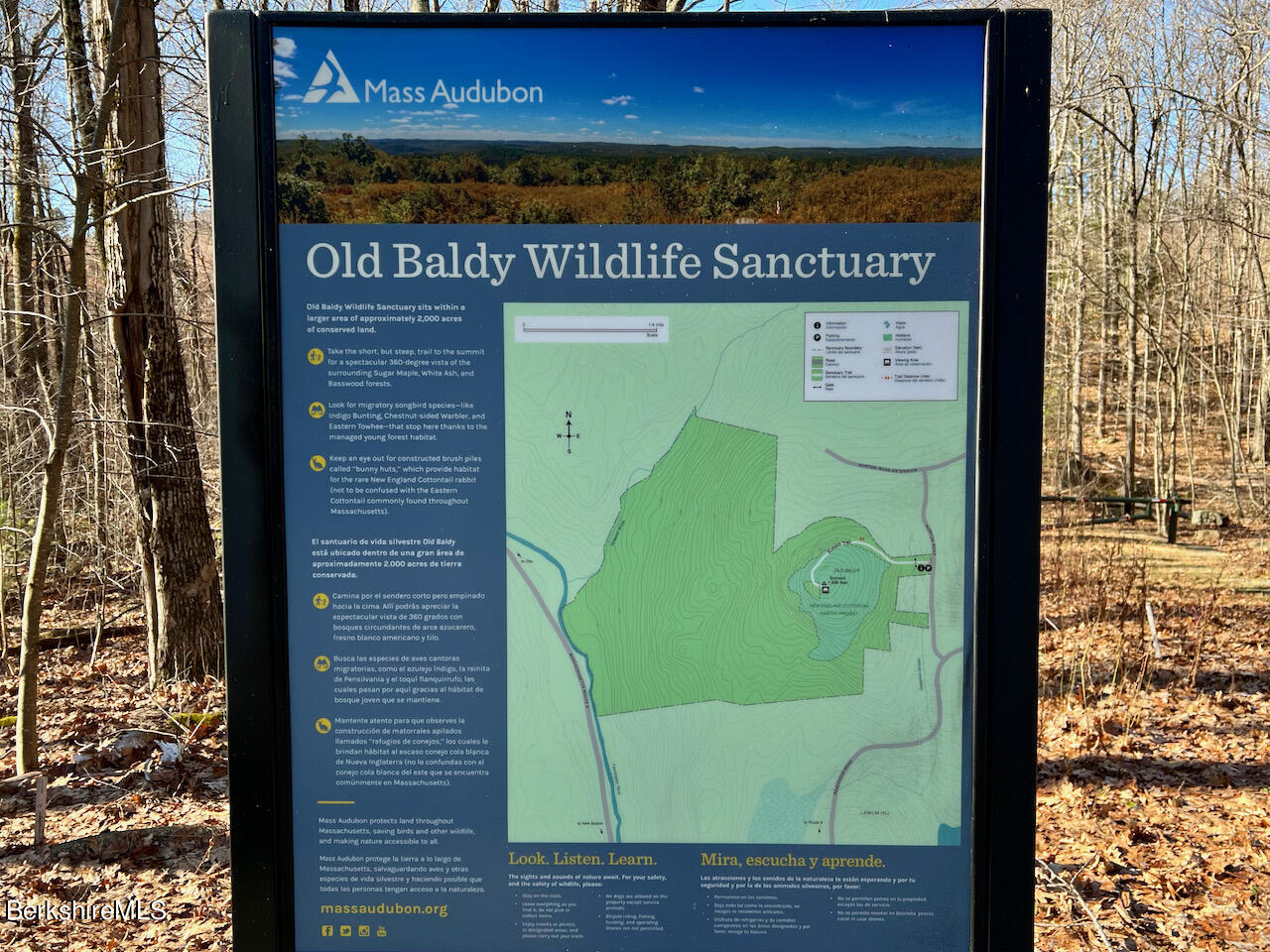 562 Norton Road Otis, MA 01253 - Photo 7 of 14 Trail to Old Baldy summit