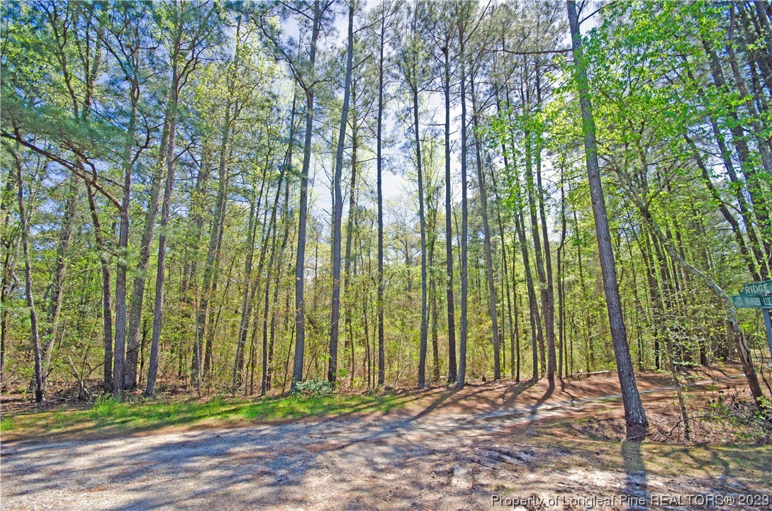 0 Ridge Road Cameron, NC 28326 - Photo 2 of 4 Gallery Image 2