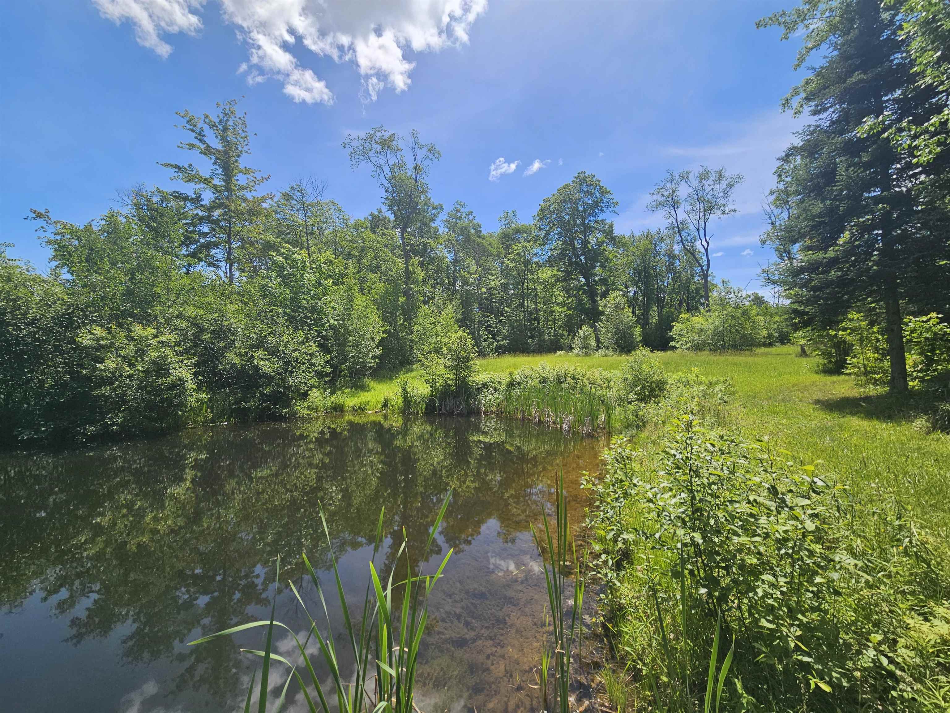 6221 West Clarence Road Harrison, MI 48625 - Photo 16 of 22