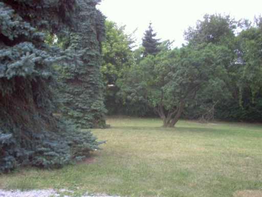 116 Parkedge Road Green Tree, PA 15220 - Photo 2 of 7 Yard/Garden.