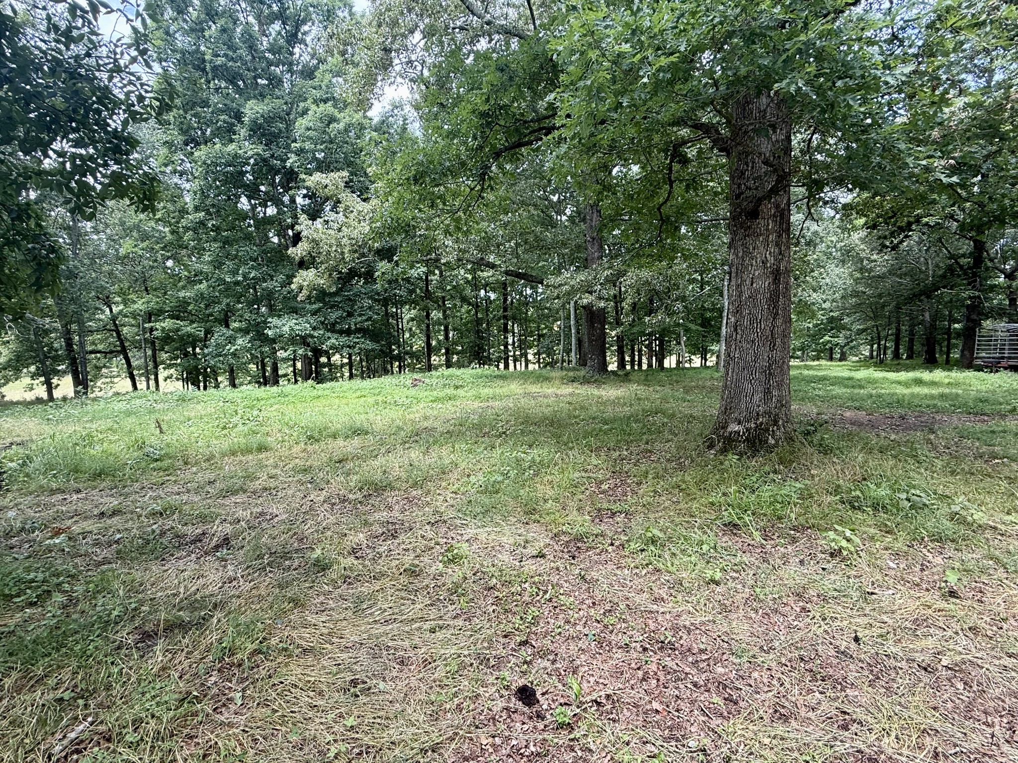 0 Crowder Road Lawrenceburg, TN 38464 - Photo 15 of 58