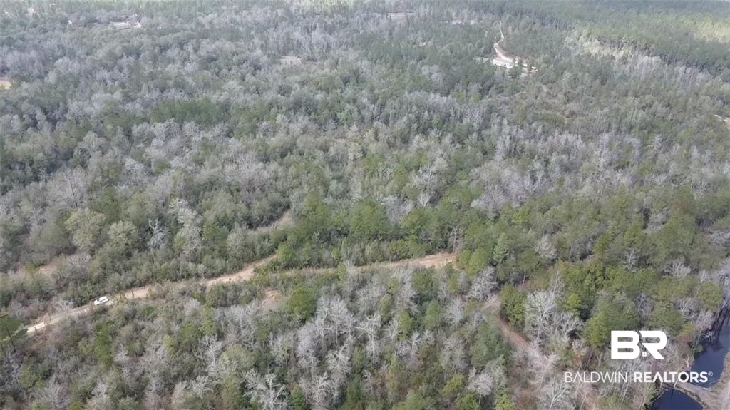 0 Chunchula Georgetown Road Chunchula, AL 36521 - Photo 14 of 15 Birds eye view of property with a wooded view