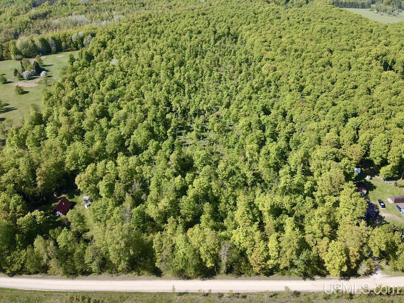 Tbd Tbd Storm Road Chatham, MI 49816 - Photo 6 of 11