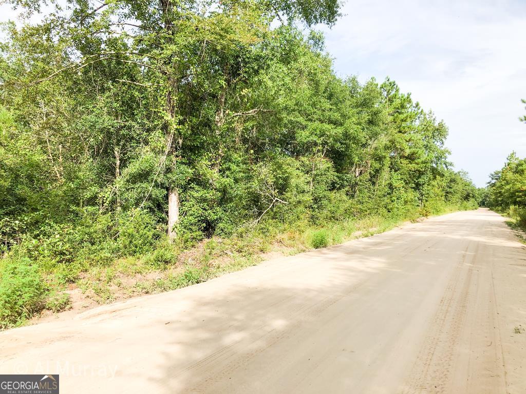 Lot 85 Linden Road Jesup, GA 31545 - Photo 1 of 1 Main View