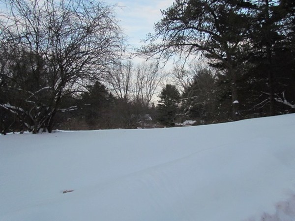 0 Forest Ridge Road Weston, MA 02493 - Photo 1 of 2 Gallery Image 1