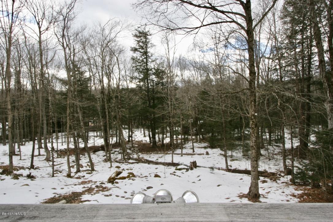 501 Dimmock Road Otis, MA 01253 - Photo 27 of 33 view from deck into backyard