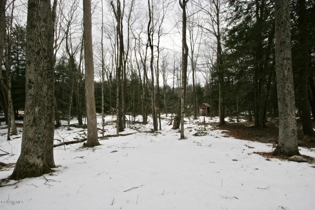 501 Dimmock Road Otis, MA 01253 - Photo 29 of 33 another shed in the woods