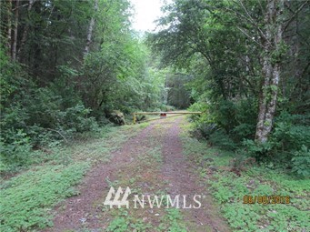 0 Bennett Randle, WA 98377 - Photo 1 of 2 Gallery Image 1