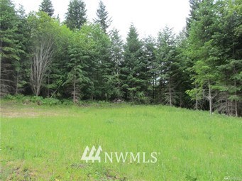 0 Bennett Randle, WA 98377 - Photo 2 of 2 Gallery Image 2