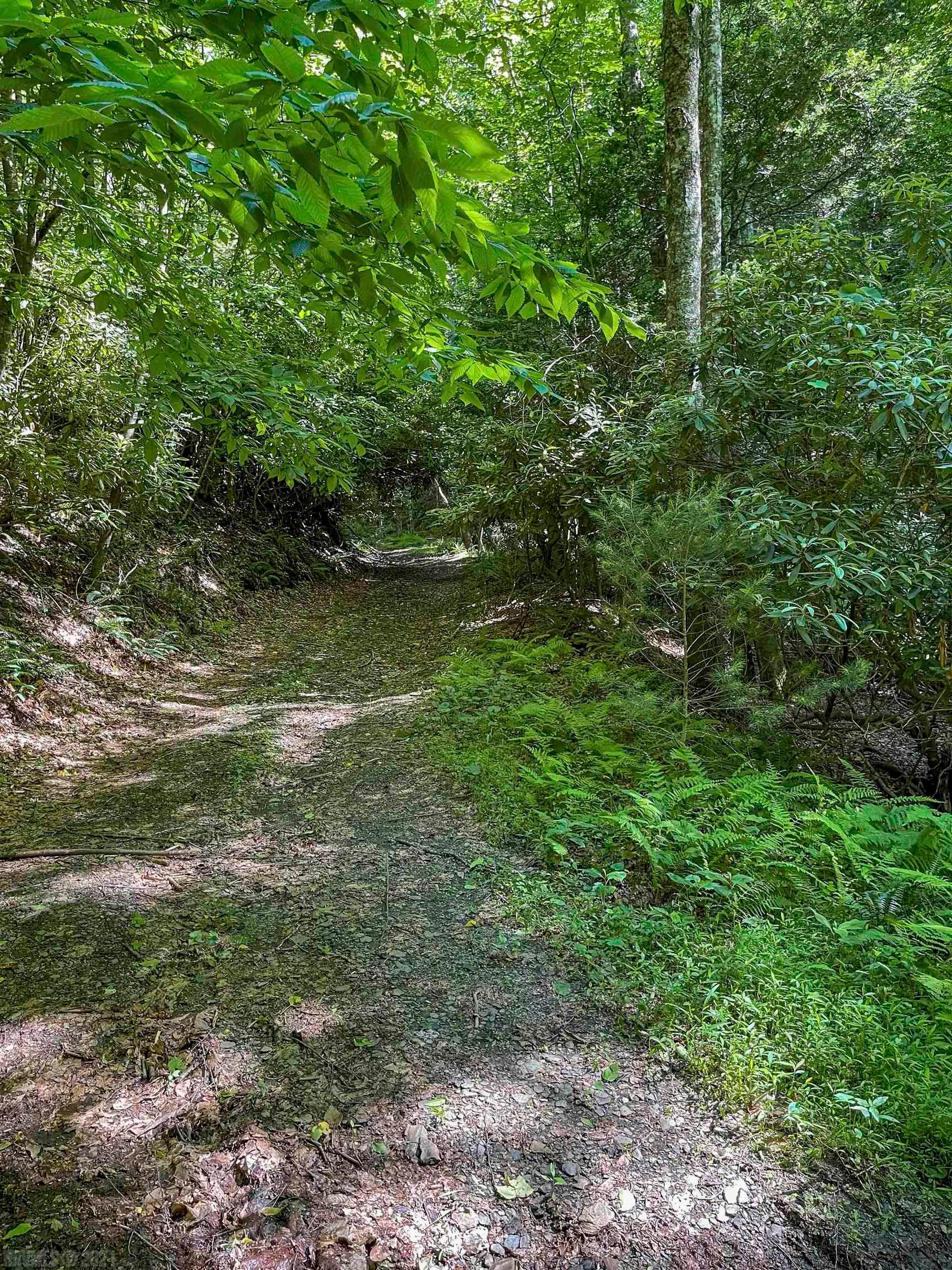 Tbd 68.5-ac Tbd 68.5-ac Berryhill Road Riner, VA 24149 - Photo 6 of 25 Gallery Image 6