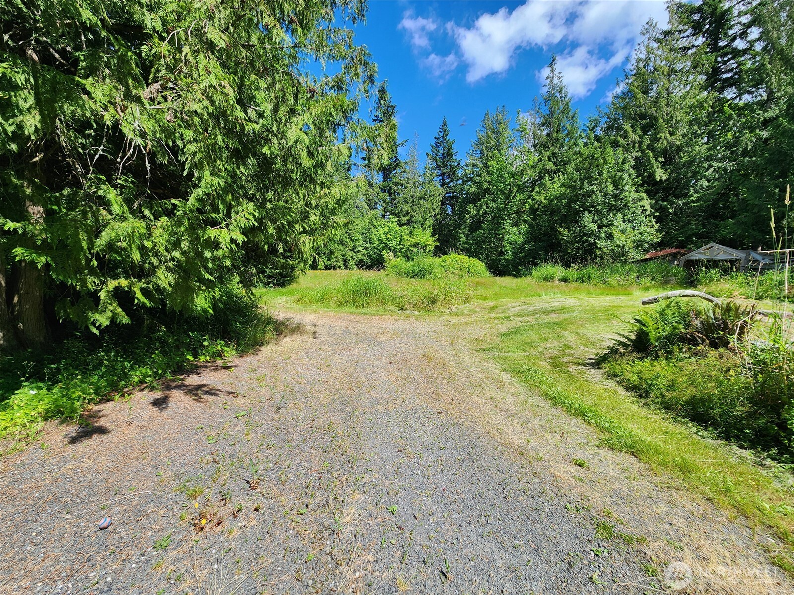 3226 Kelly Road Bellingham, WA 98226 - Photo 3 of 40 a view of a yard with plants and a trees