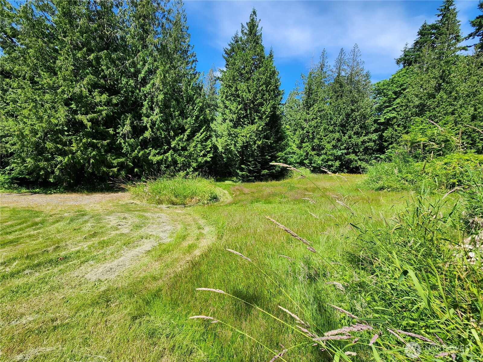 3226 Kelly Road Bellingham, WA 98226 - Photo 38 of 40 a view of a garden