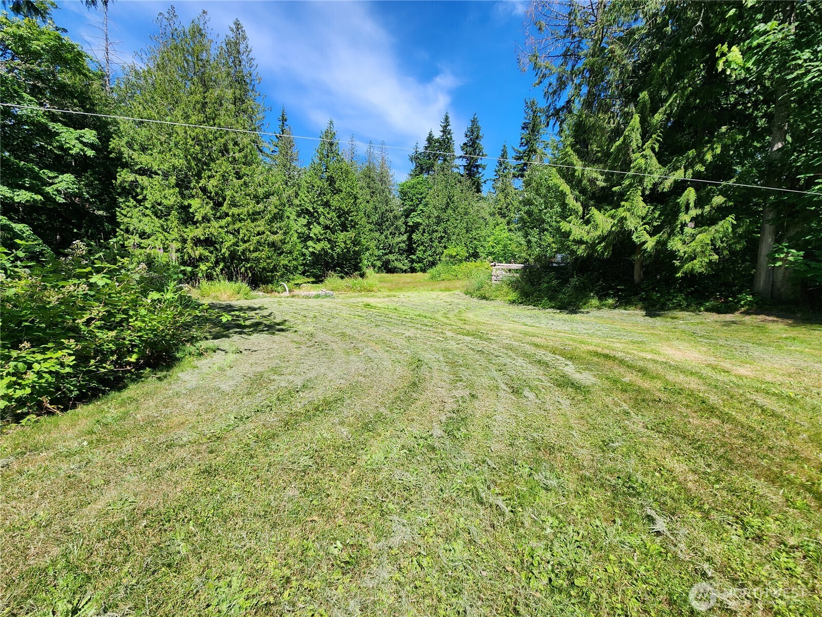 3226 Kelly Road Bellingham, WA 98226 - Photo 4 of 40 a view of backyard with green space