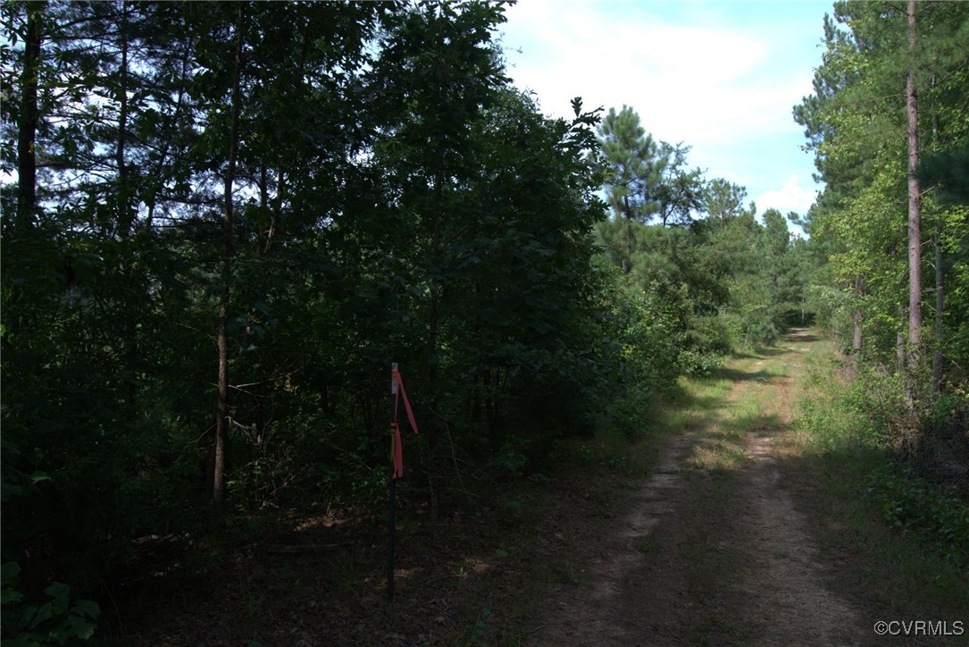 0 Venable Road Kents Store, VA 23084 - Photo 10 of 12 a view of a yard