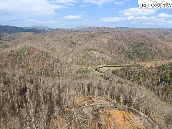 a view of a dry yard