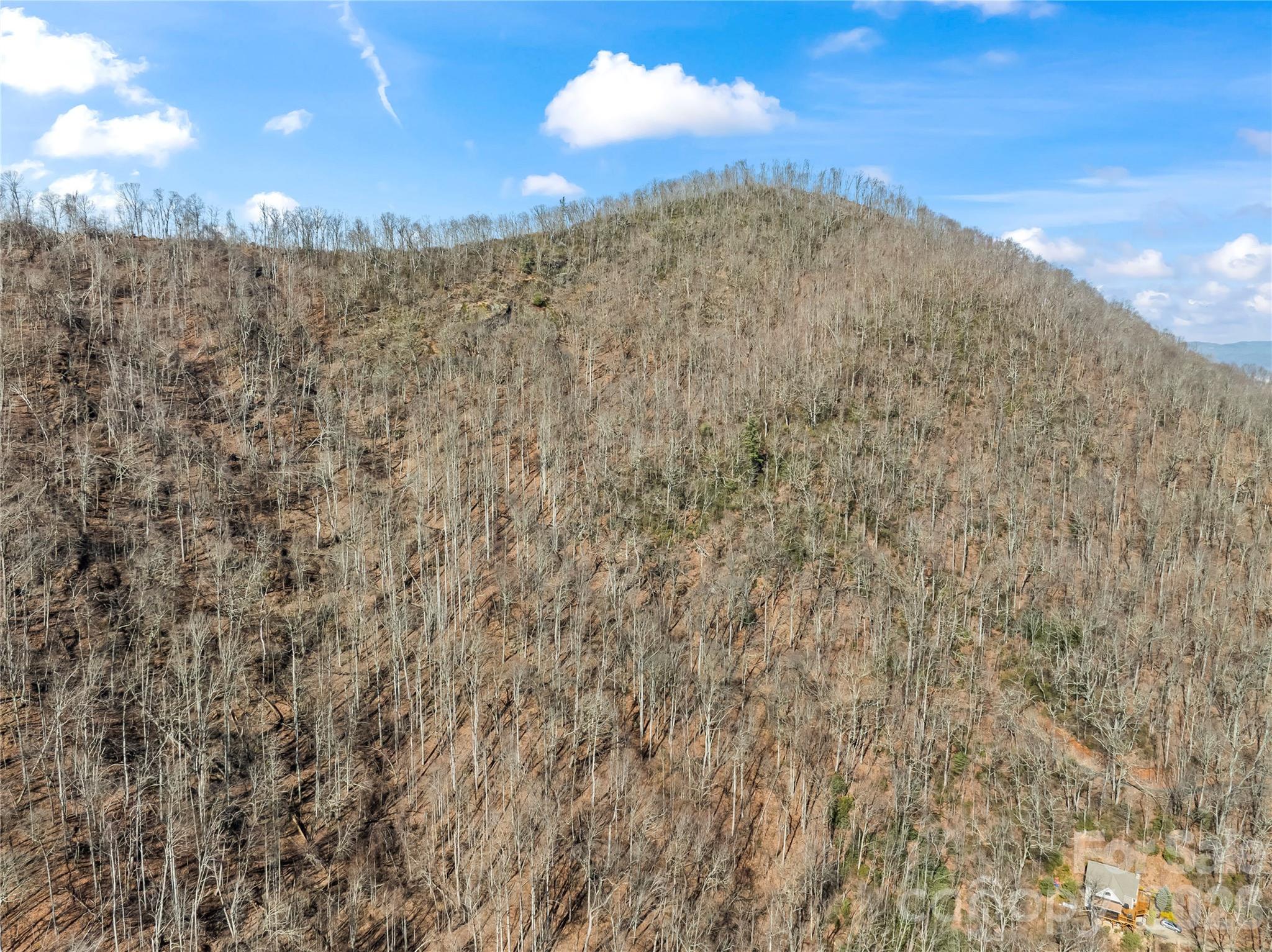 31 Reillys Blf Road, Unit 2 Barnardsville, NC 28709 - Photo 11 of 13