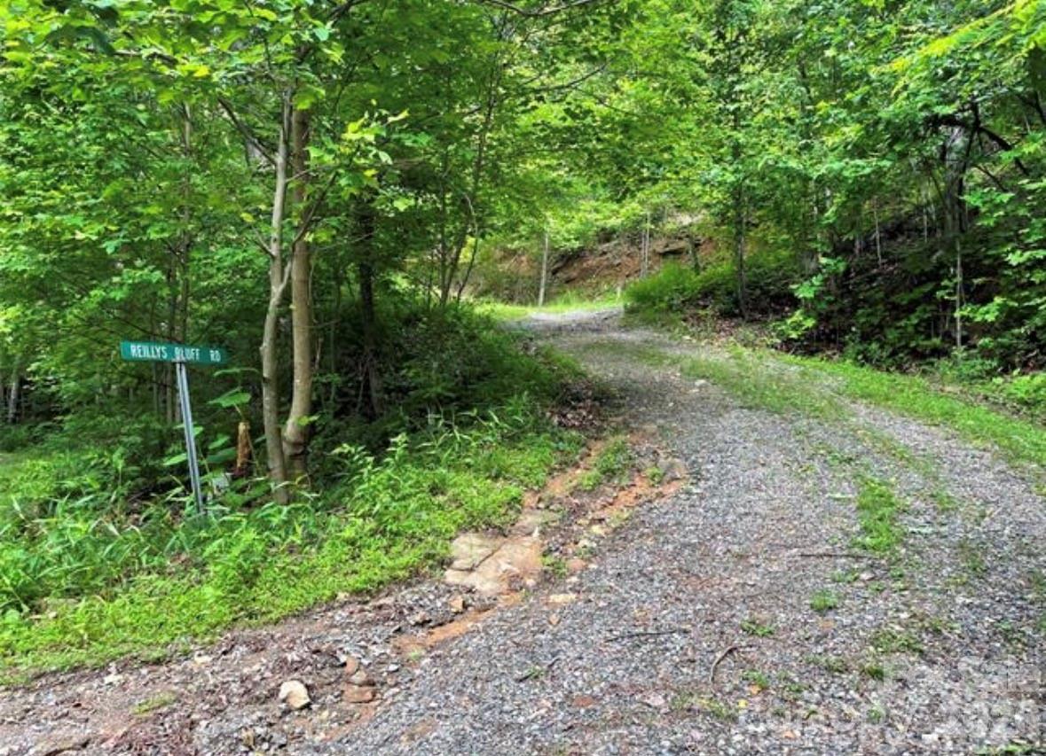 31 Reillys Blf Road, Unit 2 Barnardsville, NC 28709 - Photo 13 of 13