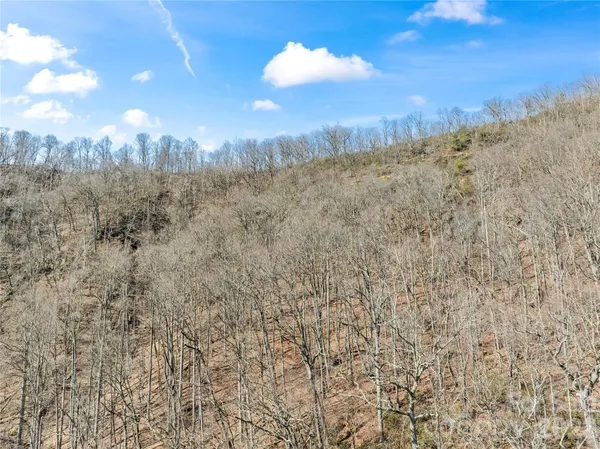 $40,000 | 31 Reillys Blf Road, Unit 2, Barnardsville, NC 28709