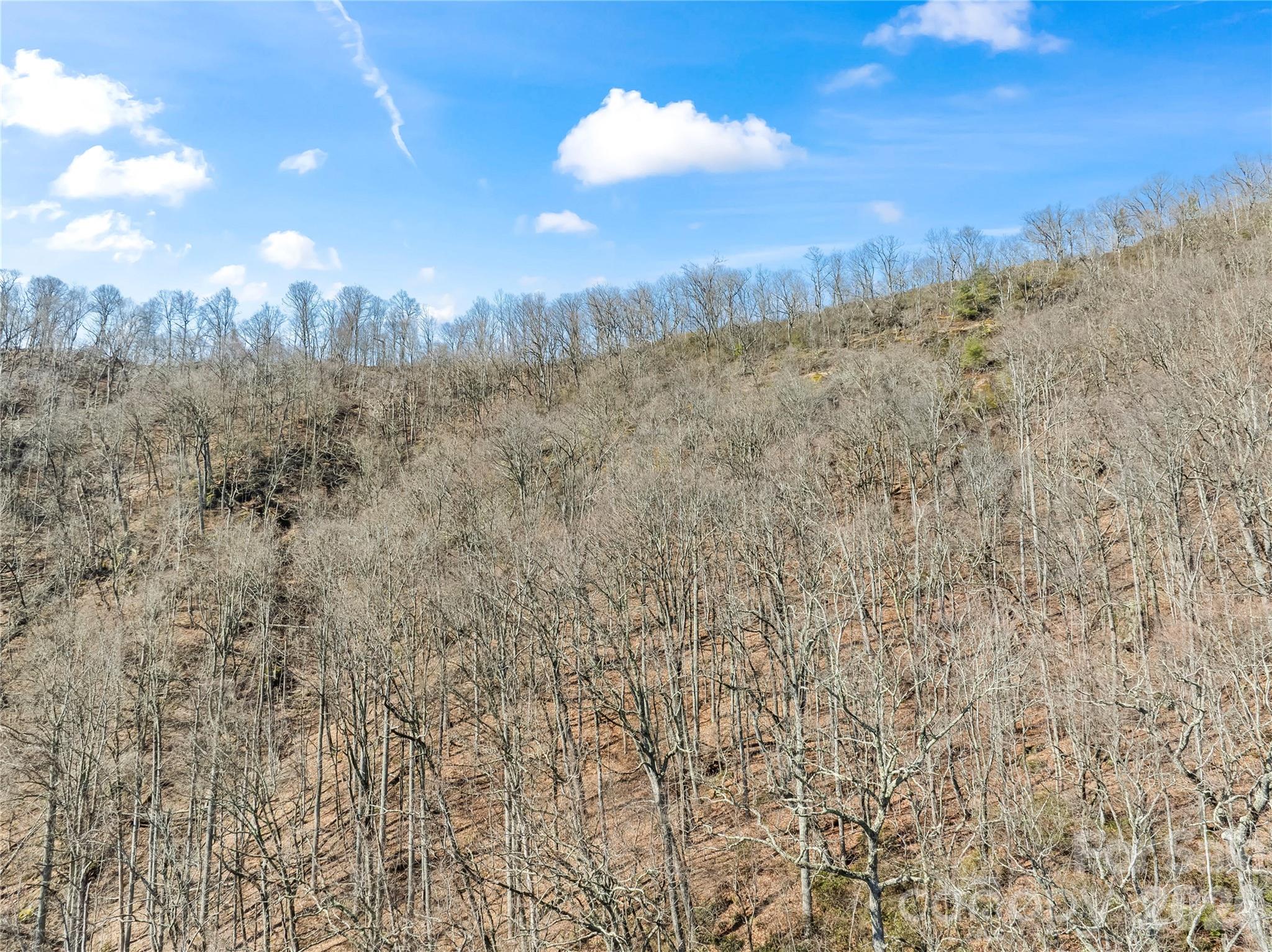 31 Reillys Blf Road, Unit 2 Barnardsville, NC 28709 - Photo 4 of 13