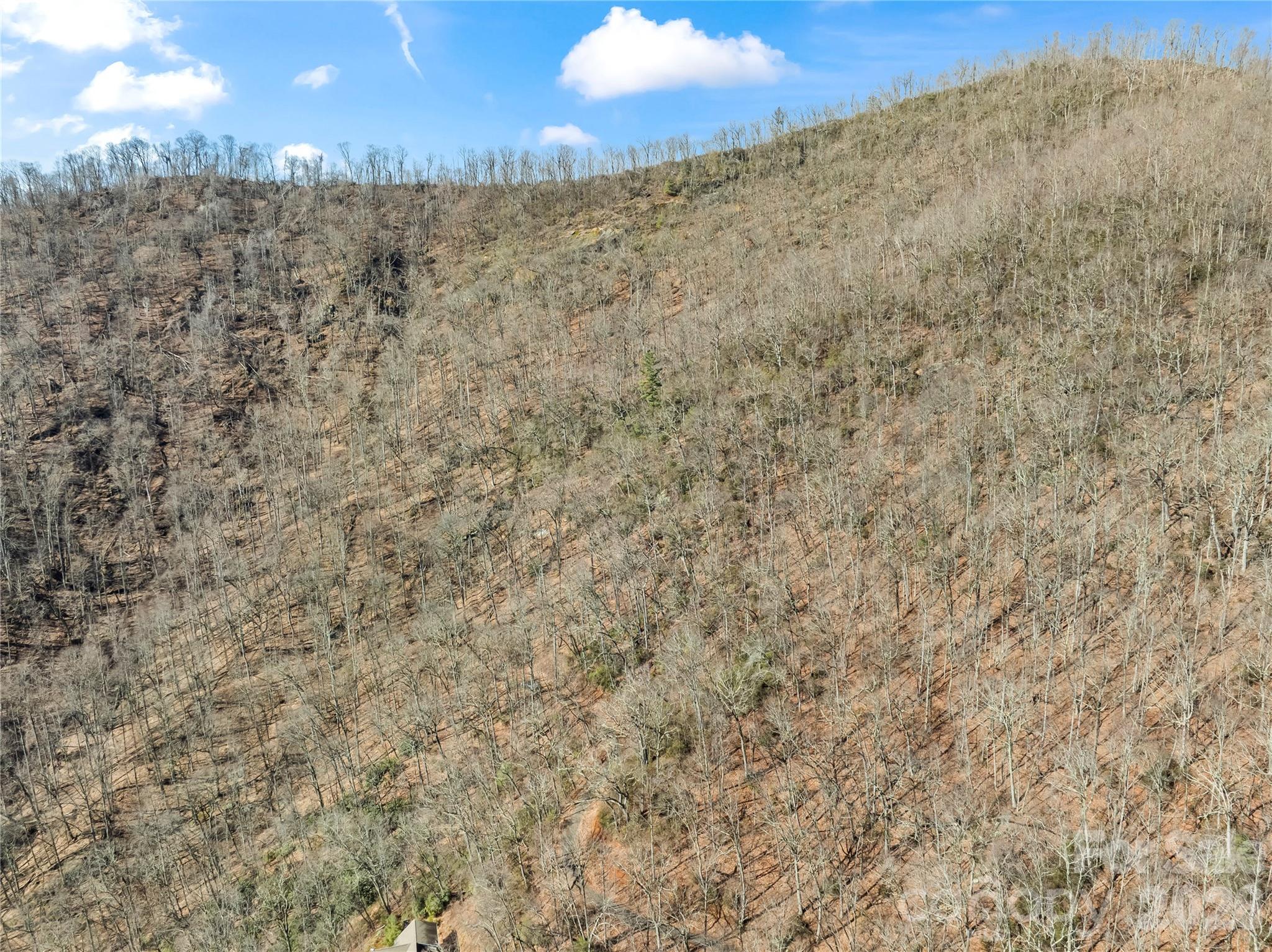 31 Reillys Blf Road, Unit 2 Barnardsville, NC 28709 - Photo 6 of 13