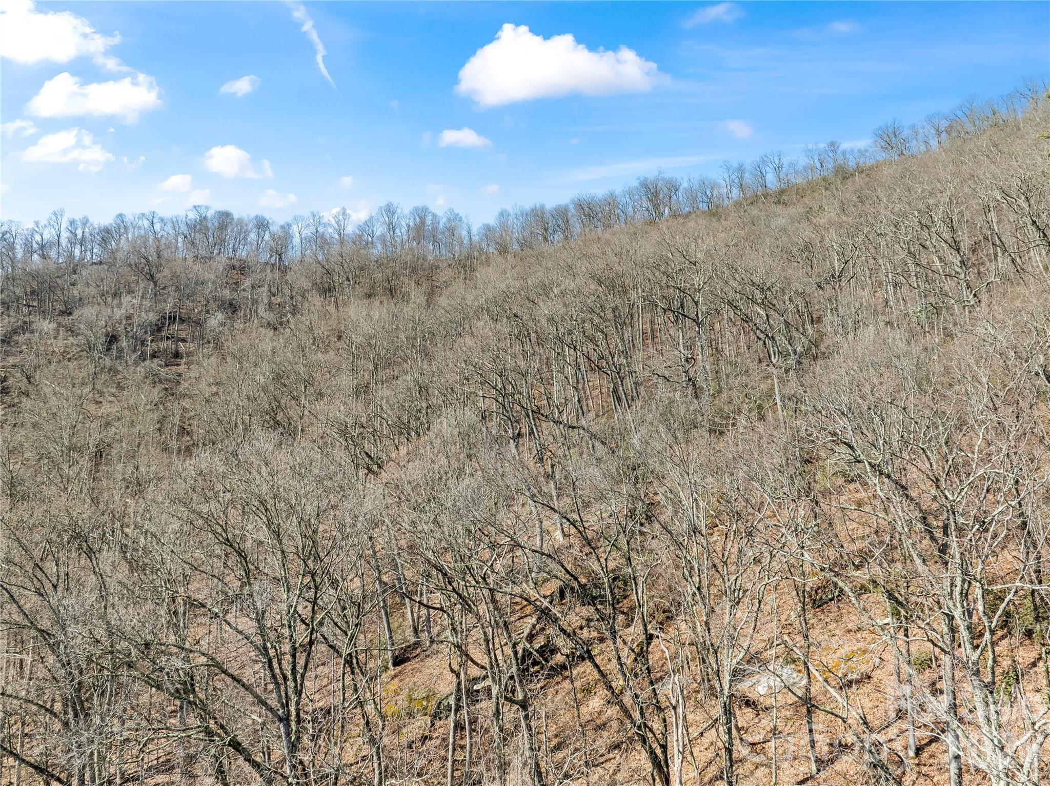 31 Reillys Blf Road, Unit 2 Barnardsville, NC 28709 - Photo 10 of 13