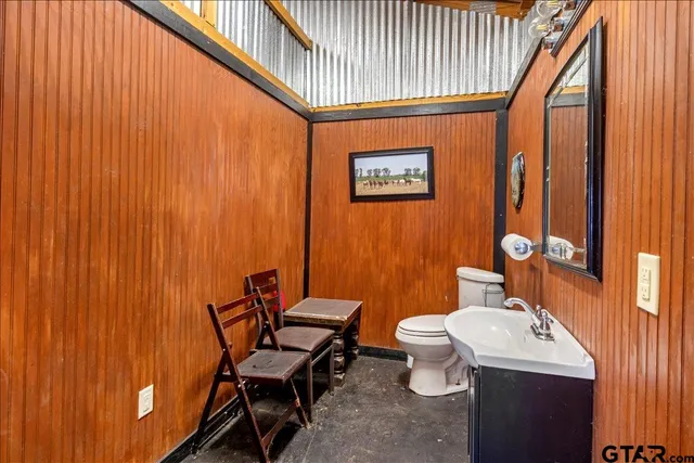 a bathroom with a toilet a sink and mirror