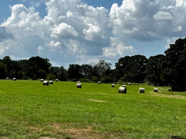 a view of a golf course